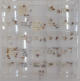 Cassetto 2