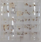 Cassetto 2