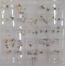 Cassetto 2